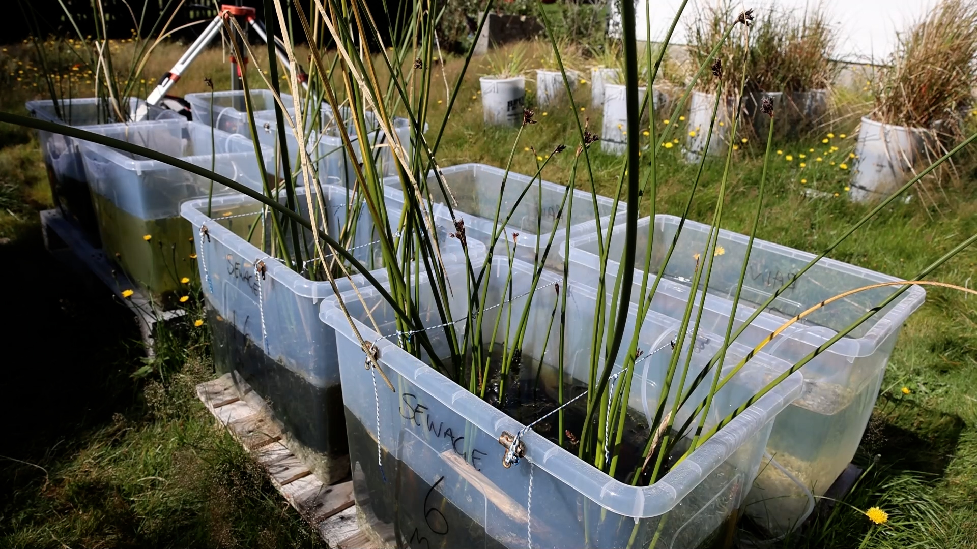 Falkland Islands Scientists Conduct Clean Water Research Around Mount Pleasant Complex