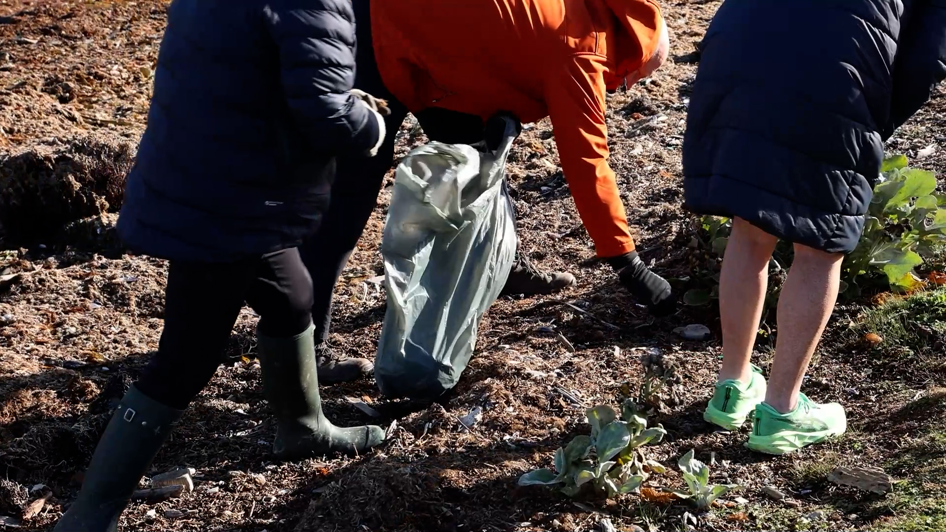 Falkland Islands Takes On 2026 Commonwealth Games Beach Clean Challenge