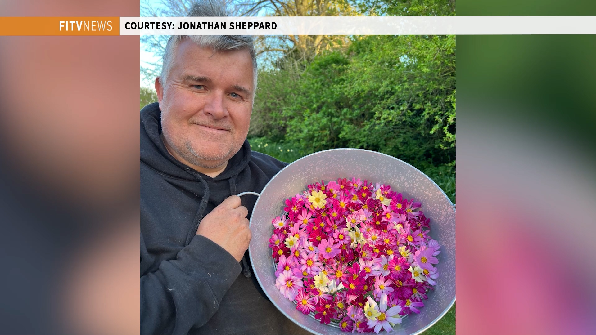 New Flowers Coming To The Falklands?
