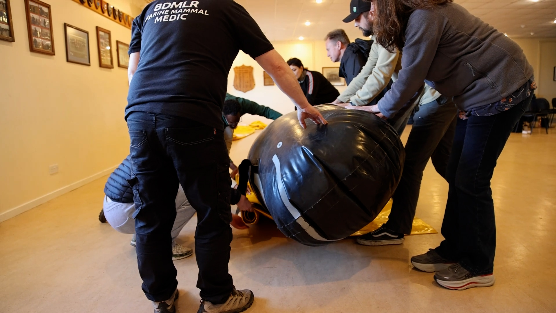 Workshops Held Training Falkland Islands To Rescue Stranded Whales And Dolphins Correctly