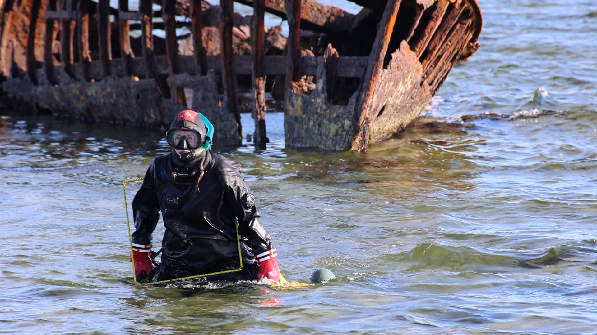 Research on the Ecology of Falkland Islands Shipwrecks